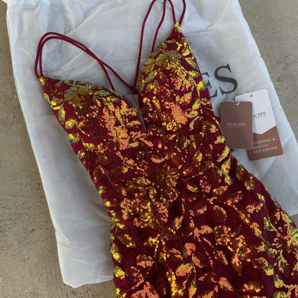 Stacees Burgundy with Iridescent Gold Sequin Detail Dress